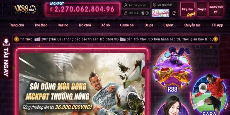 Tổng quan về chúng tôi